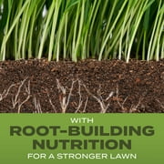 Scotts Turf Builder Grass Seed Tall Fescue Mix, 2.4 lbs.