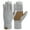 B-Gray, variant on Winter Women Touchscreen Leather-Palm Gloves, Elegant Warm Touchscreen Gloves for Women Gift Set