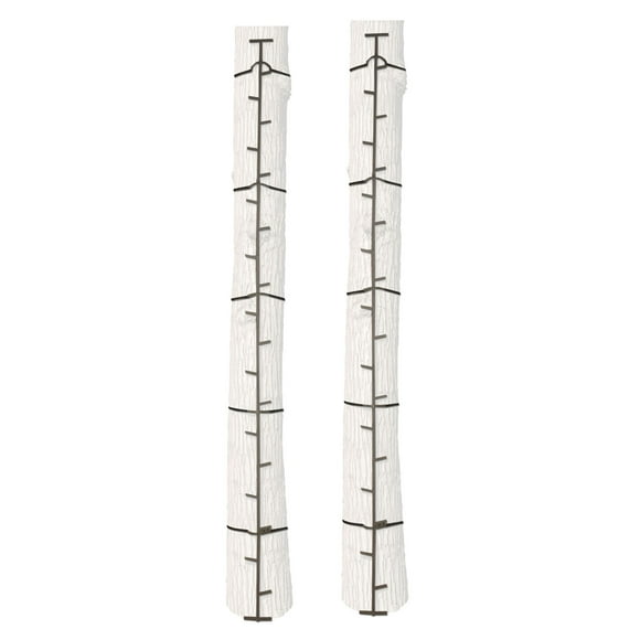 Big Game Système d'Escalade d'Arbres en Acier à Manche Rapide, 20 Pieds (2 Pack)