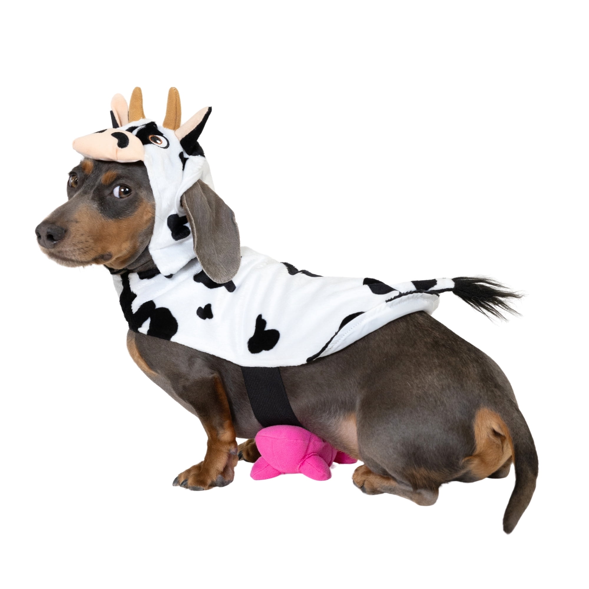 Vibrant Life Halloween Cow Costume for Dogs and Cats  Black and White  XS