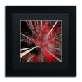 thumbnail image 2 of Trademark Fine Art "I Can't Believe It" Canvas Art by Philippe Sainte-Laudy Black Matte, Black Frame, 2 of 4