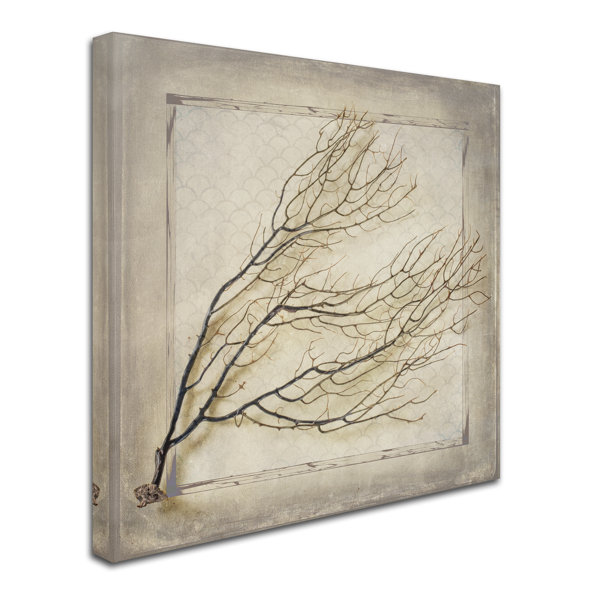 LightBoxJournal 'Starfish Sea Leaf' Canvas Art