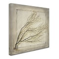 thumbnail image 2 of LightBoxJournal 'Starfish Sea Leaf' Canvas Art, 2 of 3