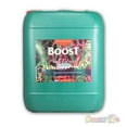 thumbnail image 5 of Canna Boost 10L Liter Accelerator Hydroponics Nutrient Bloom Enhancer, 5 of 5