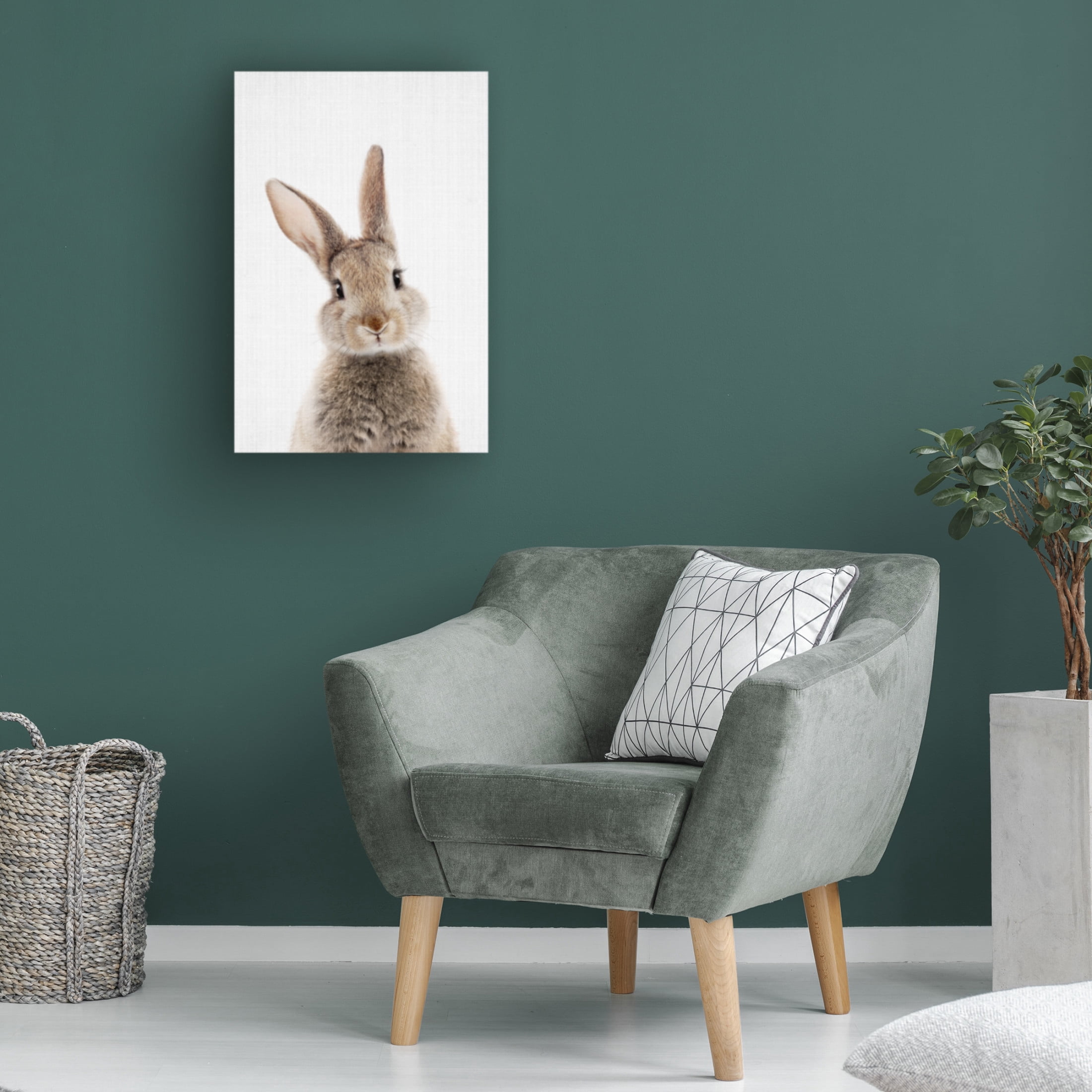 Trademark Fine Art Lola Peacock Peekaboo Bunny Canvas Wall Art