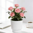 thumbnail image 5 of Eoozwa Self Watering Pots for Indoor Plants, Plant Pots, Self Watering Planter for Indoor Plants, Durable Plastic Pots, Flower, Succulents, 5 of 5