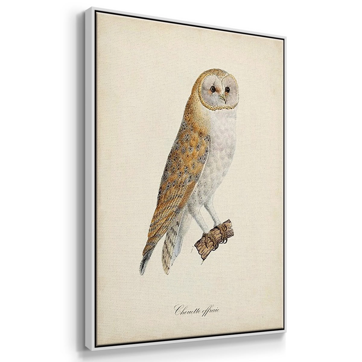 French Owls IV - Framed Premium Gallery Wrapped Canvas L Frame 3 Piece Set - Ready to Hang