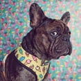 thumbnail image 3 of Pug Small Dogs Harness No Pull Dog Vest Harness for Small Medium Dog Breathable Pets Puppy French Bulldog Dog Harness Leash Set ShopWise Round, 3 of 17