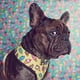 thumbnail image 3 of Pug Small Dogs Harness No Pull Dog Vest Harness for Small Medium Dog Breathable Pets Puppy French Bulldog Dog Harness Leash Set ShopWise Round, 3 of 17