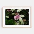 thumbnail image 2 of field of flowers Queen Ann's Lace - Carmel Valley California Photography Floral Flowers Botanical Garden Nature Scenic Summer Unframed Wall Art Print 5 x 7 inches, 2 of 7
