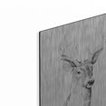 thumbnail image 2 of Luxe Metal Art 'Young Buck Sketch I' by Emma Scarvey, Metal Wall Art, 12"x16", 2 of 9