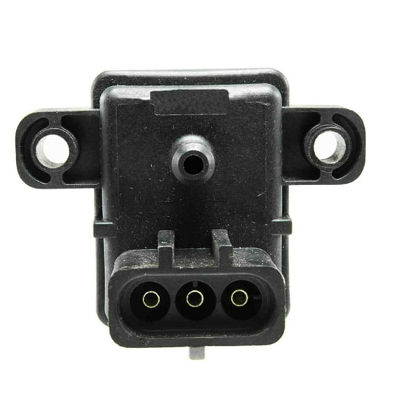 Man. Absolute Press. Sens