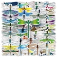 thumbnail image 1 of Pegatinas de vinilo impermeable Dragonfly Graffiti, 50 unidades, 1 of 2