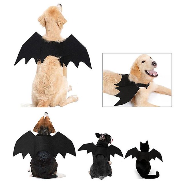 Disfraz de gato y perro, disfraz de Halloween, alas de bat, vampiro negro, disfraz de mascota, disfraz de Halloween, suministros para mascotas Afortunado Sencillez