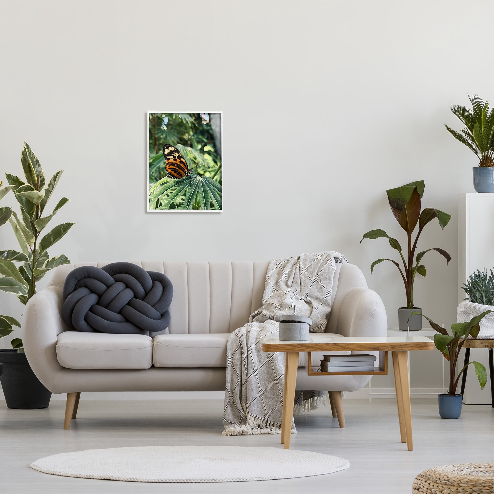 Stupell Industries Monarch Butterfly on Leaf Animals & Insects Photography White Framed Art Print Wall Art, 16 x 20