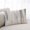 Beige, variant on Beige Grey Lumar Pillow Covers,Abstract Mottled Art Retro Modern Painting Soft Breathable Throw Pillow Cases with Invisible Zipper,Decorative Pillowcase Pillows Protectors for Sofa Bed Chair 16"x24"