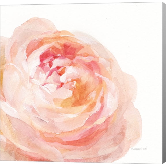Garden Rose on White Crop by Danhui Nai, Canvas Wall Art