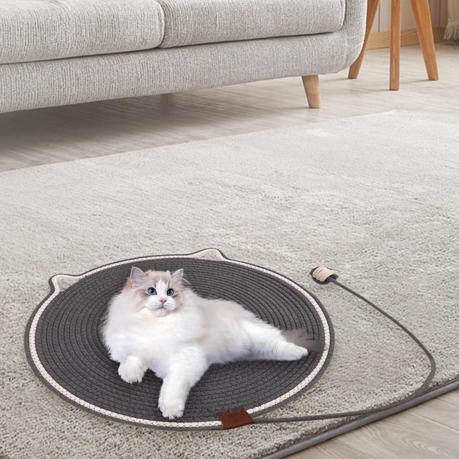 Bvdfgk Cat Scratch Mat Cat Scratch Pad Pet Supplies Grinding Claws Protecting Furniture gray