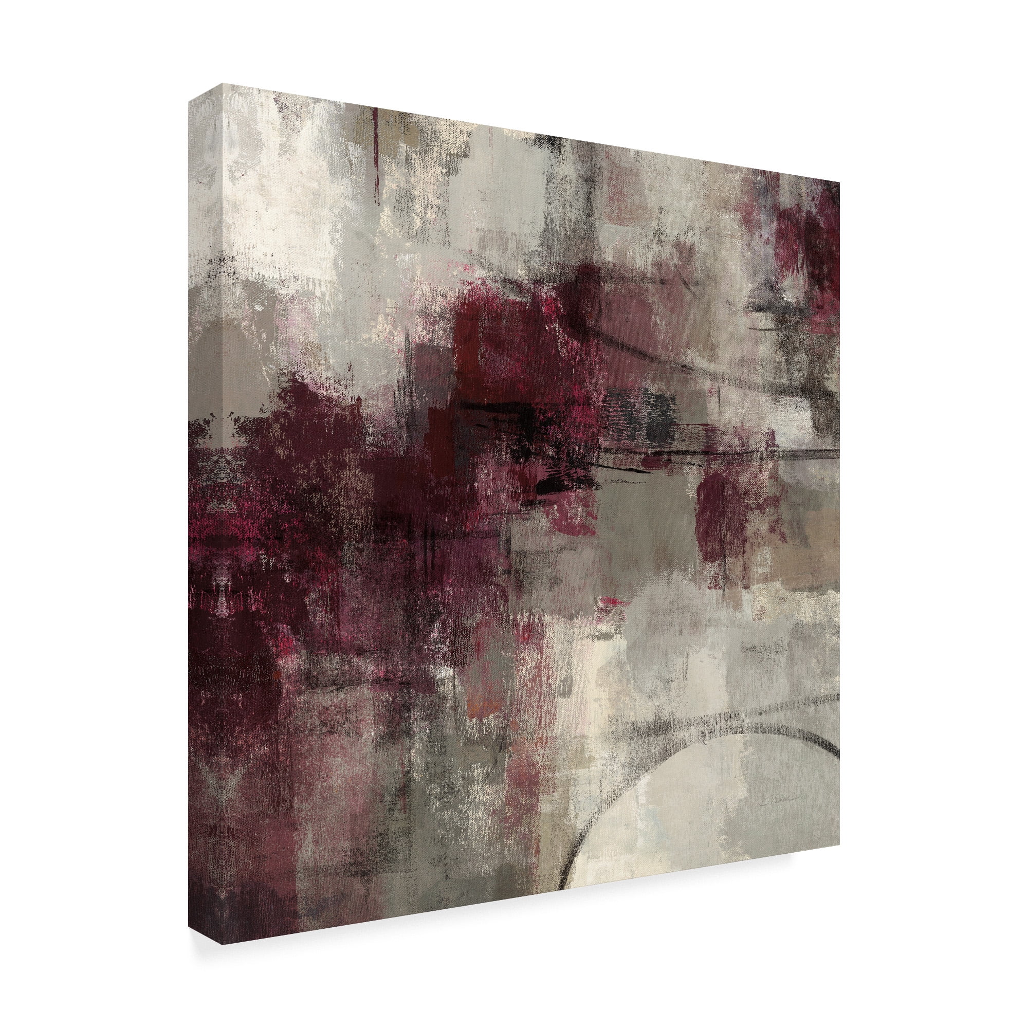 Trademark Fine Art 'Stone Gardens II' Canvas Art by Silvia Vassileva