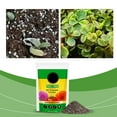 thumbnail image 2 of Premium All-Purpose Compost (Plant Potting Soil), 2 of 4
