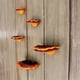 thumbnail image 5 of Set of 5 Mushroom Shelf Wall Decor Small Wall Shelf for Bedroom Resin Mushroom Decor Floating Shelve, 5 of 5