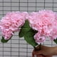 thumbnail image 4 of Outdoor Artificial Hydrangea Flowers UV Resistant Fake Plants, Faux Plastic Flower For Indoor Outside Hanging Plants Garden Porch Window Home Wedding Decor, 4 of 5
