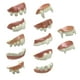 thumbnail image 2 of Accesorio de disfraz de cosplay divertido para adultos con dientes de Halloween, decoración para fiesta elegante 12 piezas nacaradas., 2 of 9