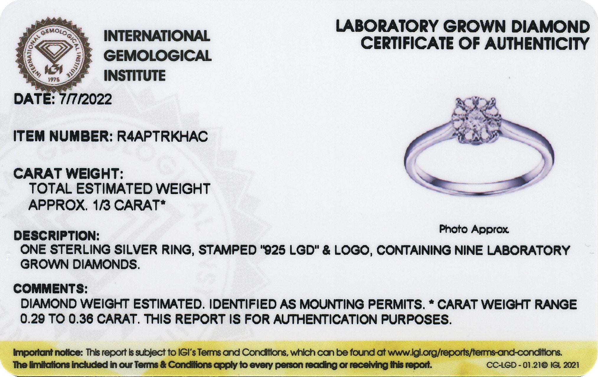 Forever Facets 1/4 CT TW Lab Grown Diamond Ring in Platinum over Sterling Silver, Adult Female
