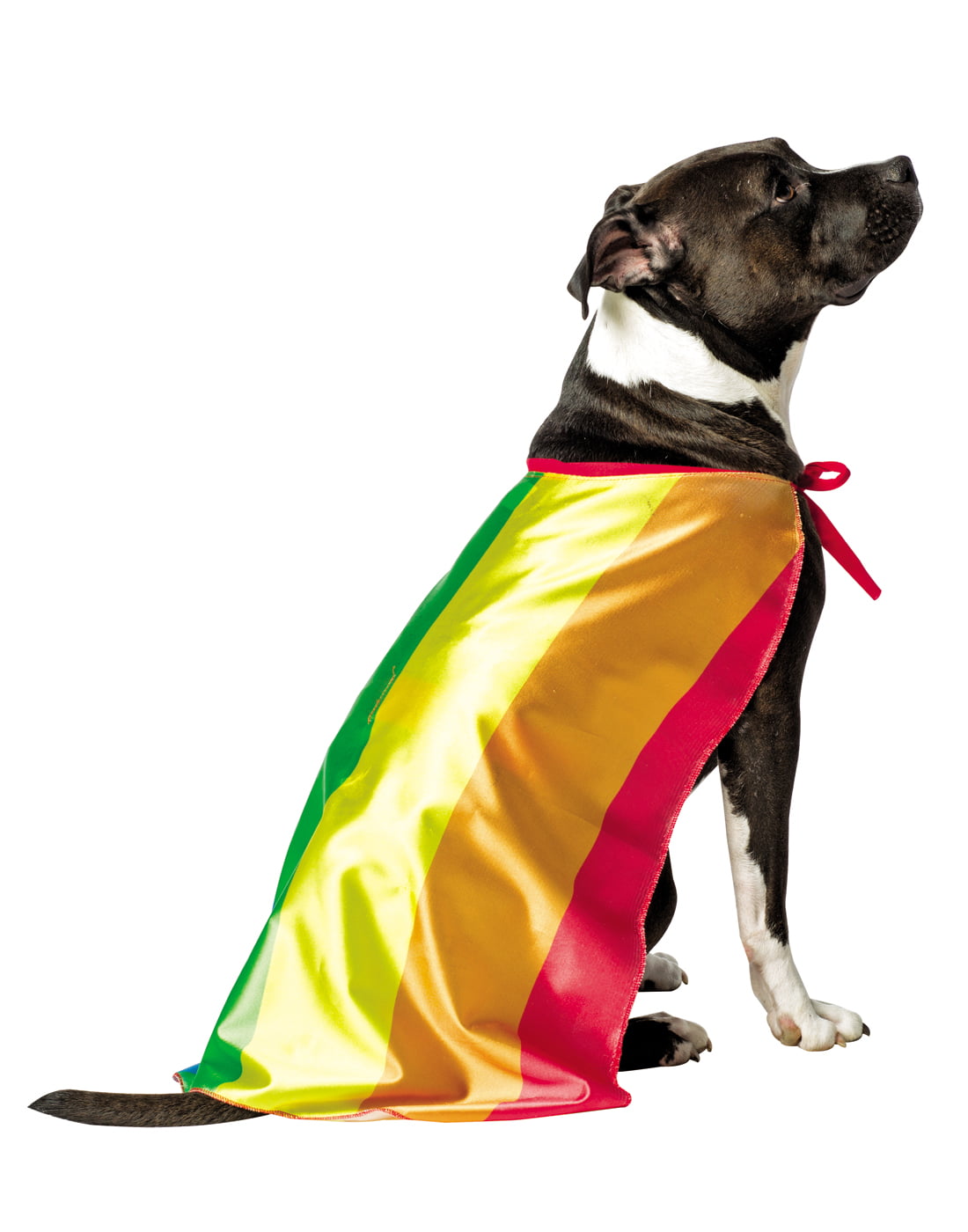 Rasta Imposta Rainbow Flag Cape for Dogs Large