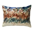thumbnail image 1 of Betsydrake NC1224 Tight Race Noncorded Pillow - Large, 1 of 1