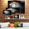 thumbnail image 4 of Design Art - White Tiger, 4 of 4
