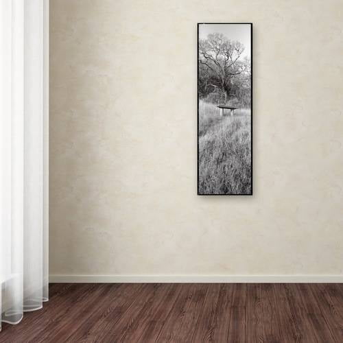 Trademark Fine Art "Novato Oak" Canvas Art by Alan Blaustein