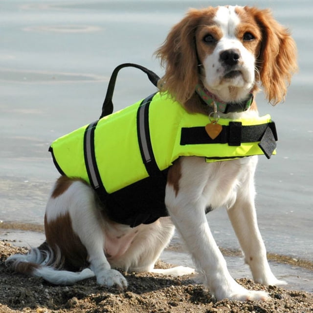Nuevo chaleco salvavidas para perros Ripstop de estilo deportivo con flotabilidad superior y mango de rescate