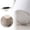 A, variant on Universal Swivel Wheel with Mount for Smooth Sliding and Repositioning – Universal Wheel with for Easy Attachment and Quiet