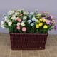 thumbnail image 3 of Margarita de seda de flores artificiales - 2 racimos de flores falsas al aire libre para la decoración de la boda del jardín del hogar, mesa, ventana, decoración de la caja brillar Hogar, 3 of 6