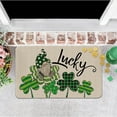 thumbnail image 1 of Panxico Floor Mats,Bath Mat,1PCS Floor Mats Holiday Mats Welcome Door Mats Polyester Door Mats St. Patricks Day 1PCS Floor MatsFront Door Rug,,Clearance, 1 of 1