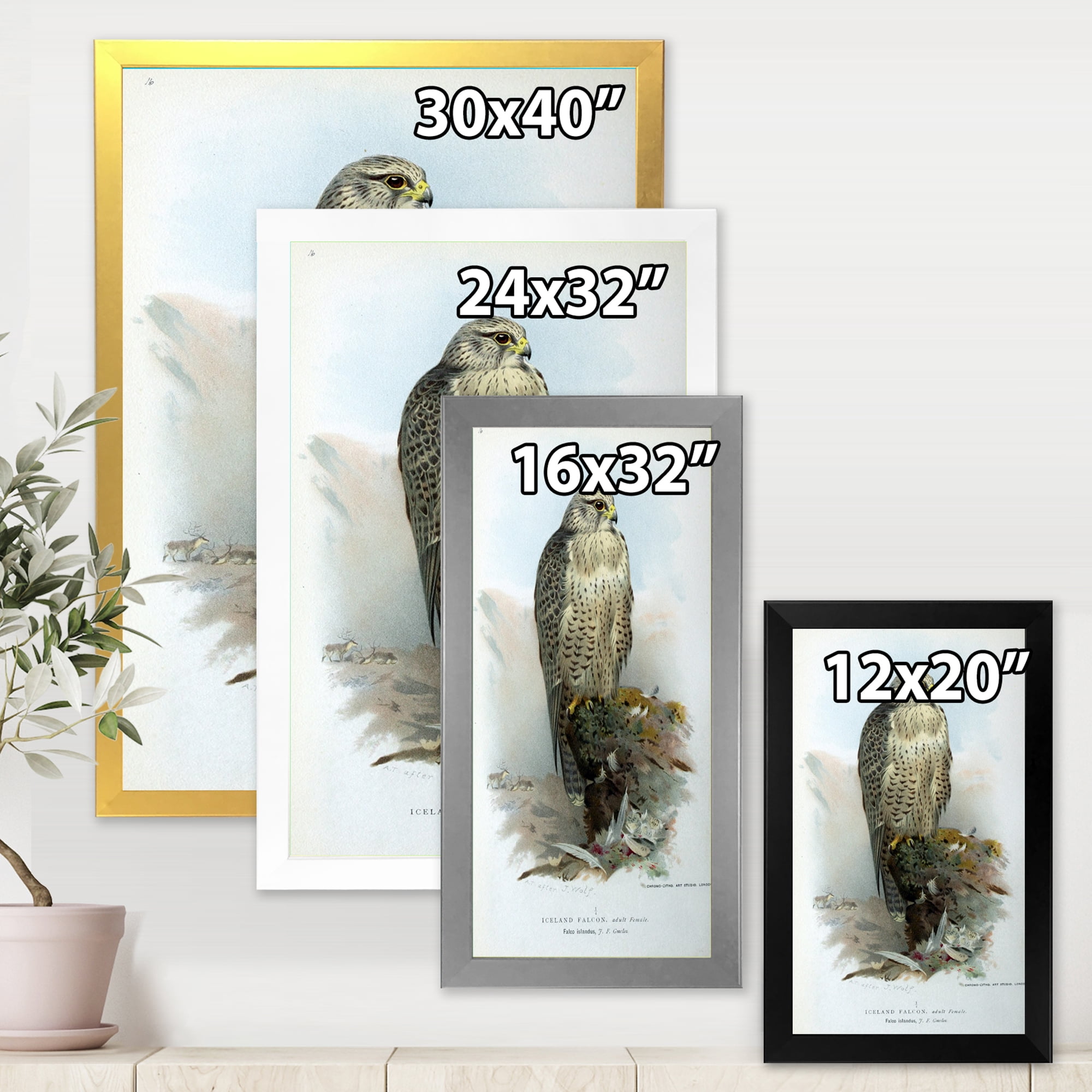 Designart 'Ancient Bird Life V' Traditional Framed Art Print