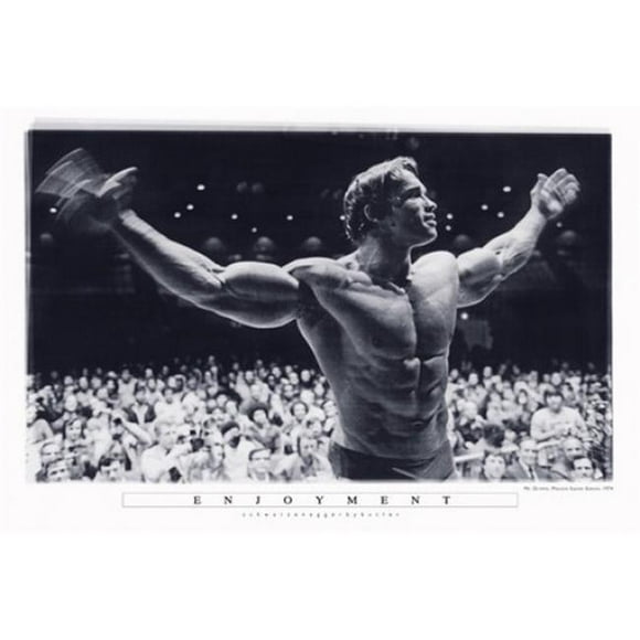 Arnold Schwarzenegger Mr Olympia Poster Print, 24 x 36