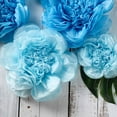 BalsaCircle 6pc Large Floral Decor: 7", 9", 11" Turquoise Tissue Paper ...