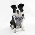 thumbnail image 2 of THE LICKER STORE Arlo Large Adjustable Soft Padded No Pull Pet Harness with 3 Buckles and 3 Leash Clips, Gray, HNS1003N, 2 of 8