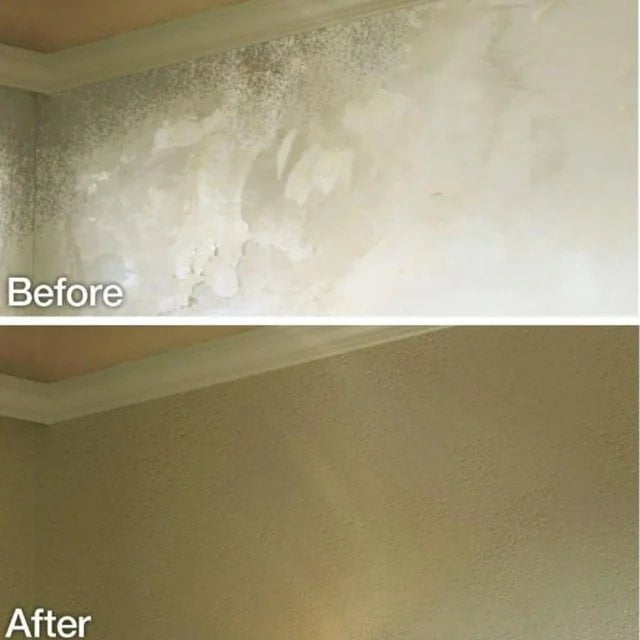 Wall Texture, White, Tinted, Matte, Water, 25 oz 4565