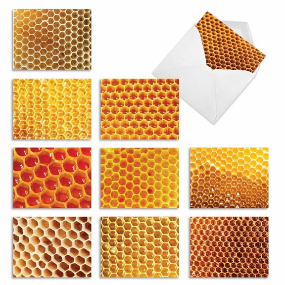 The Best Card Company 10 Assorted Blank All Occasions Notes Pack Set 4x5.12 w/ Envelopes, 10x1 Designs, For Men, Women, Honey I'm Home M3060