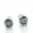SilverGray1Ctx2, variant on S925 Sterling Silver Earrings Women's Four-Claw Earrings 1 Carat Royal Blue Pink Yellow Moissanite Earrings