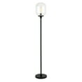 thumbnail image 2 of Evelyn&Zoe Agnolo 69" Tall Floor Lamp with Glass Shade, Blackened Bronze/Clear, 2 of 10