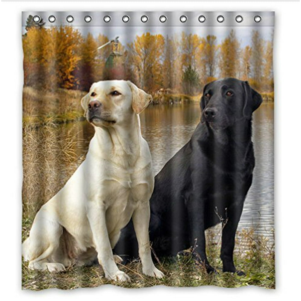 HelloDecor Labrador retriever dogs Labrador retriever Shower Curtain
