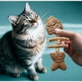 thumbnail image 3 of Purrident - Fix Your Cat’s Dental Health, Natural Fishbone Catnip & Silvervine Chew Toy, Interactive Kitten Chew Playthings, Pets Cat Chew Stick Toys, for Cats Teeth Cleaning (3pcs), 3 of 7