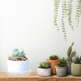 thumbnail image 2 of KAKOWELY 30Pcs Flowerpot Tray Plastic Round Flower Pot Plates Water Holding, 2 of 7