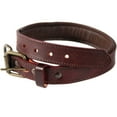 thumbnail image 5 of logical leather padded leather dog collar - brown - m, 5 of 7