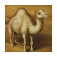 thumbnail image 2 of "Dromedary in Deserts" - Canvas, 2 of 25