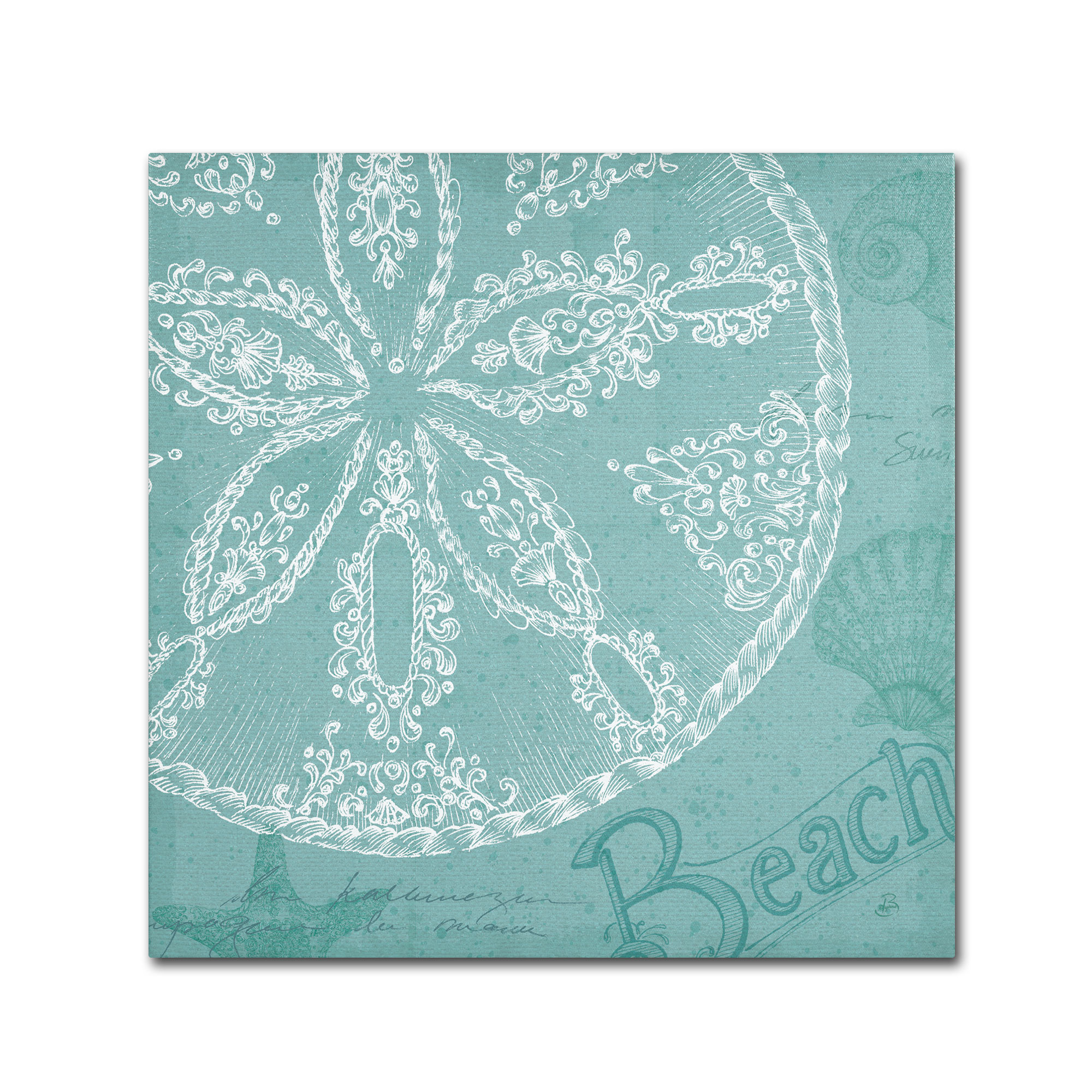 Trademark Fine Art "Aqua Treasure II" Canvas Art by Daphne Brissonnet